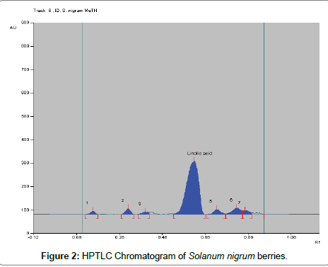 chromatography-separation-Solanum-nigrum