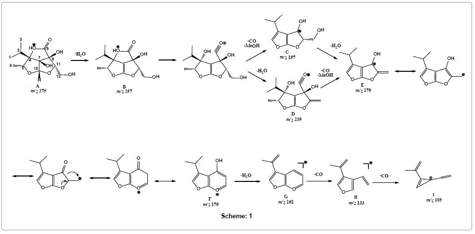 chromatography-separation-techniques