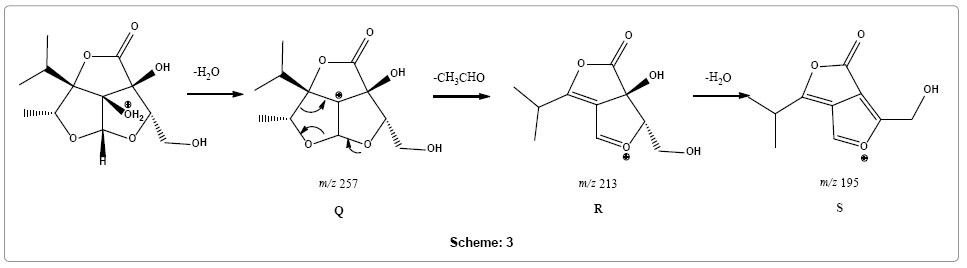 chromatography-separation-techniques