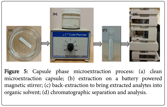 chromatography-separation-techniques-Capsule-phase