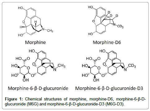 chromatography-separation-techniques-Chemical-structures-morphine