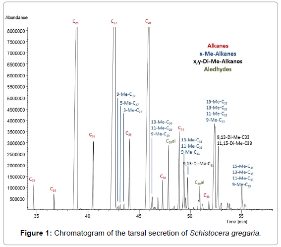 chromatography-separation-techniques-Chromatogram-tarsal-secretion