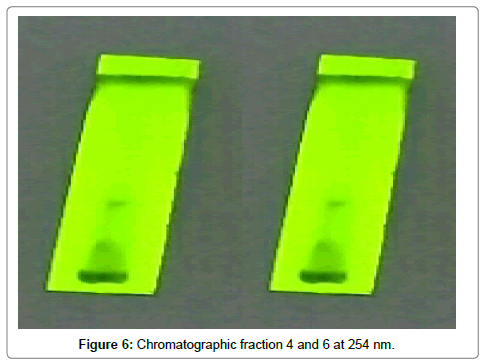 chromatography-separation-techniques-Chromatographic-fraction
