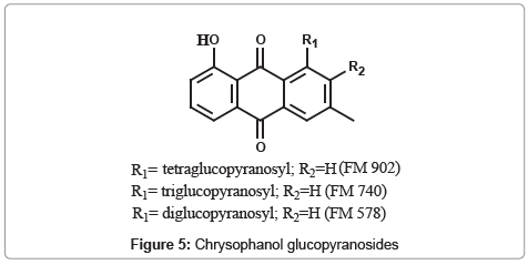 chromatography-separation-techniques-Chrysophanol-glucopyranosides