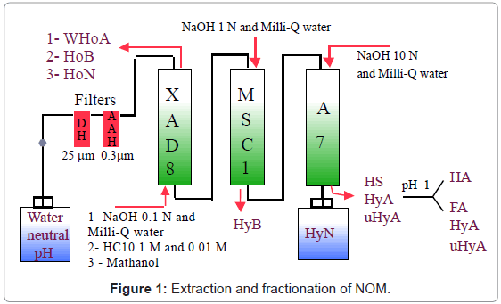 chromatography-separation-techniques-Extraction-fractionation-NOM