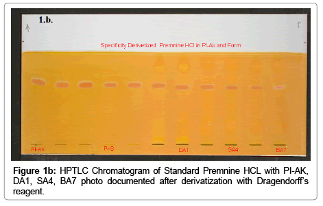 chromatography-separation-techniques-HPTLC-Chromatogram