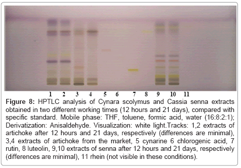 chromatography-separation-techniques-HPTLC-analysis