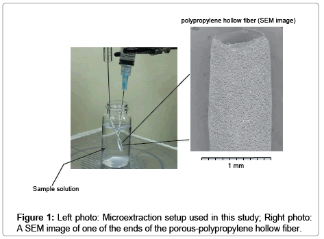 chromatography-separation-techniques-Microextraction-setup