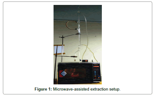 chromatography-separation-techniques-Microwave-assisted
