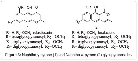 chromatography-separation-techniques-Naphtho-γ-pyrone