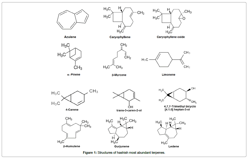 chromatography-separation-techniques-Structures-hashish-most-abundant-terpenes