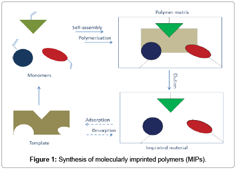 chromatography-separation-techniques-Synthesis-molecularly
