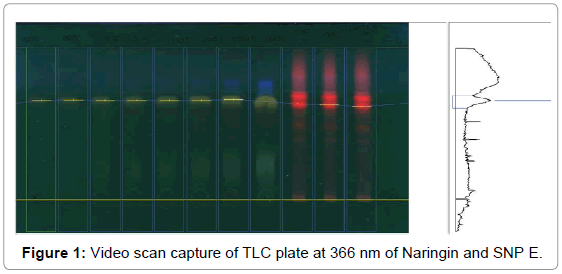 chromatography-separation-techniques-Video-capture-Naringin