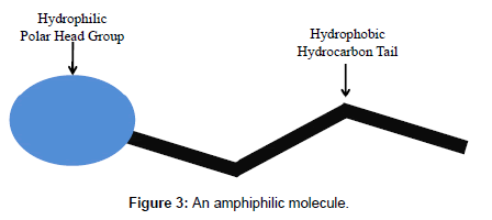 chromatography-separation-techniques-amphiphilic-molecule
