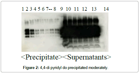 chromatography-separation-techniques-precipitated-moderately