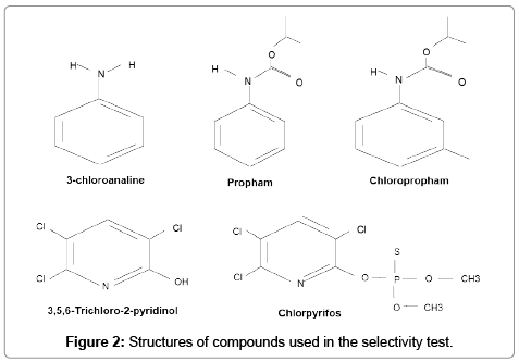 chromatography-separation-techniques-selectivity-test