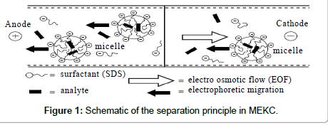 chromatography-separation-techniques-separation-principle