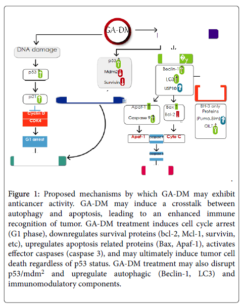 clinical-cellular-immunology-Proposed-mechanisms