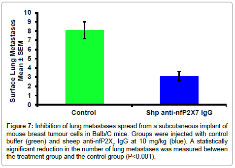 clinical-cellular-immunology-inhibition-of-lung-metastases