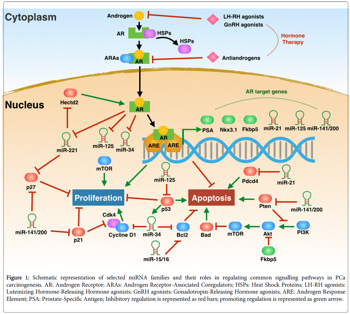 clinical-cellular-immunology-miRNA-families