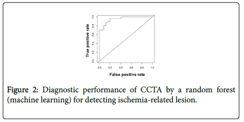 clinical-experimental-cardiology-ischemia-related-lesion
