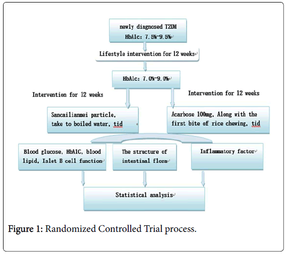 clinical-trials-Trial-process