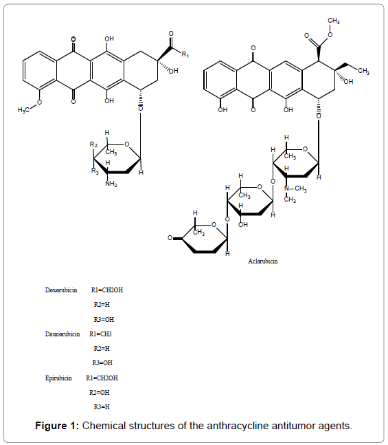 developing-drugs-Chemical-structures-anthracycline