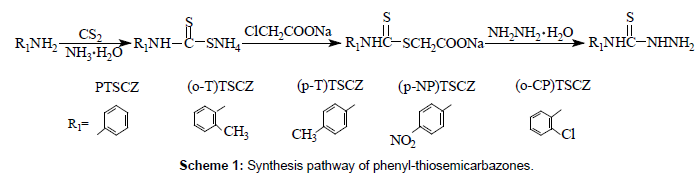 developing-drugs-Synthesis-pathway