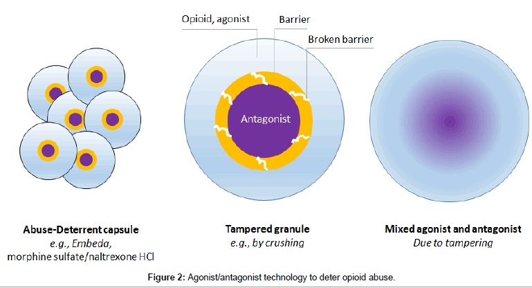 developing-drugs-antagonist-technology