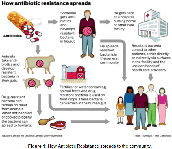 drug-metabolism-toxicology-Antibiotic-Resistance