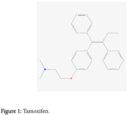 drug-metabolism-toxicology-Tamoxifen