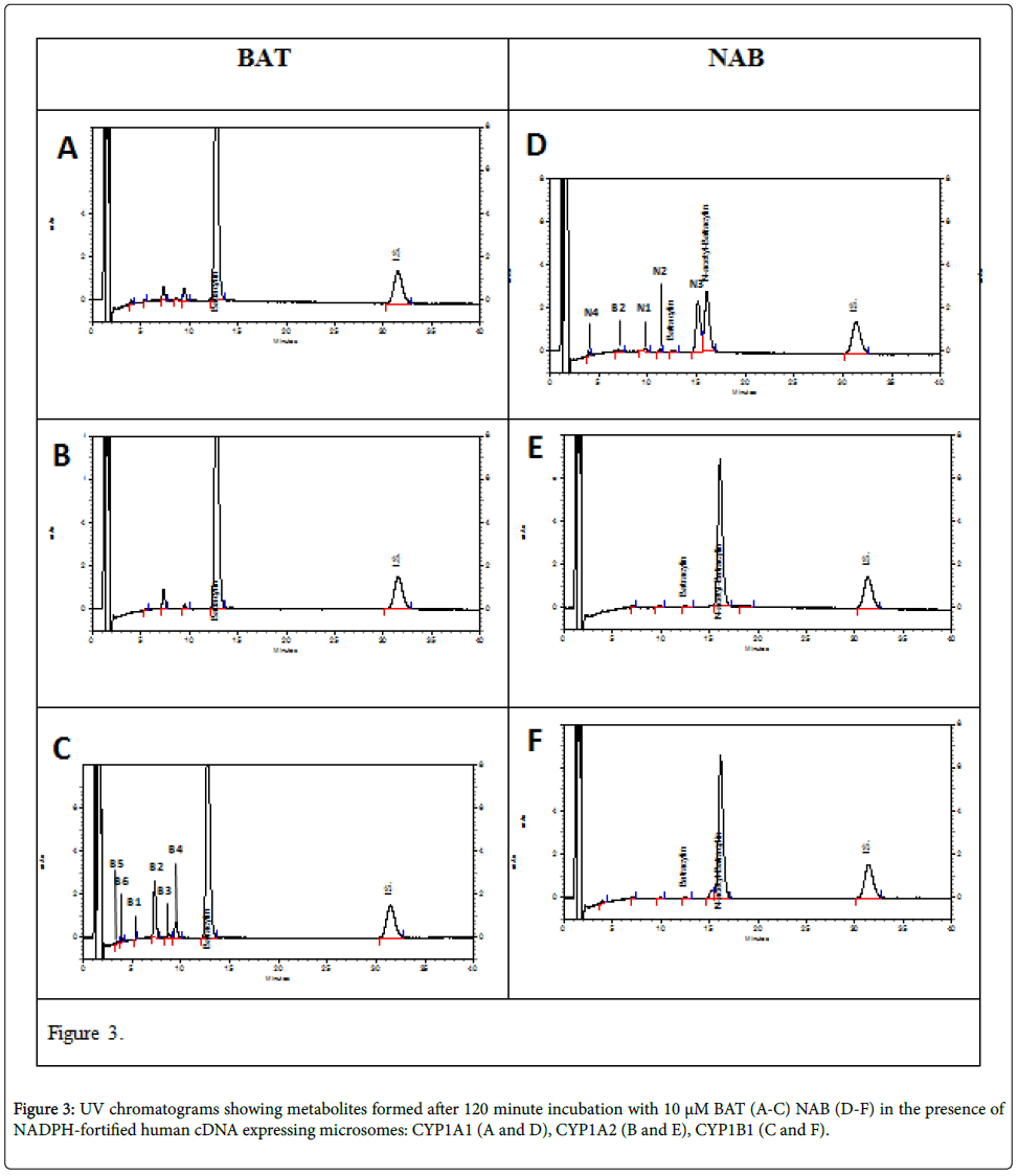 drug-metabolism-toxicology-incubation