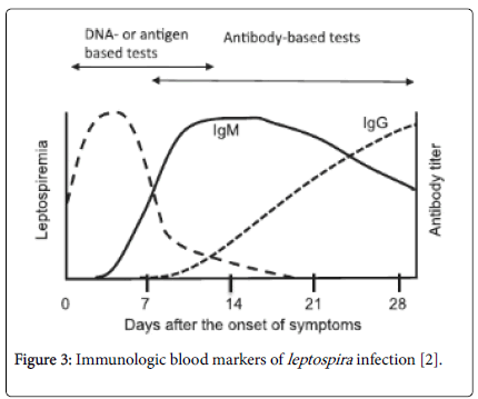 emergency-medicine-Immunologic-blood-markers-leptospira