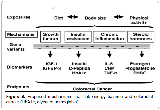 endocrinology-metabolic-syndrome-Proposed-mechanisms