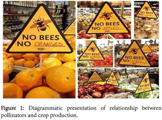 entomology-ornithology-herpetology-pollinators-crop-production