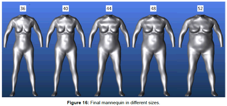 ergonomics-Final-mannequin-different-sizes