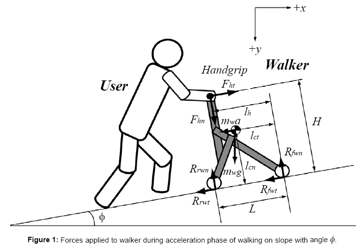 ergonomics-Forces-applied-walker