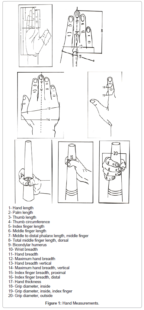 ergonomics-Hand-Measurements