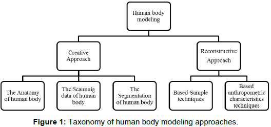 ergonomics-Taxonomy-human-body
