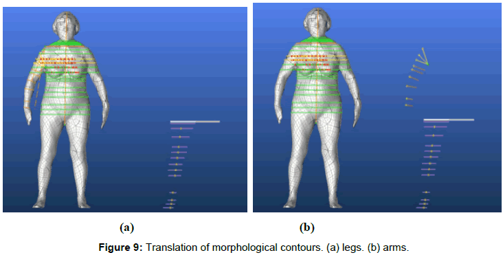 ergonomics-Translation-morphological-contours