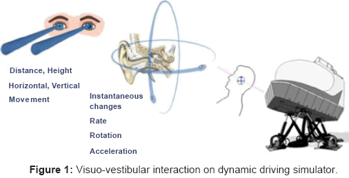 ergonomics-Visuo-vestibular-interaction