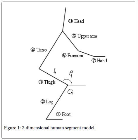 ergonomics-human-segment-model