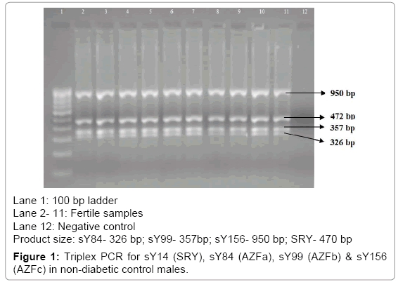 fertilization-in-vitro-Triplex-PCR