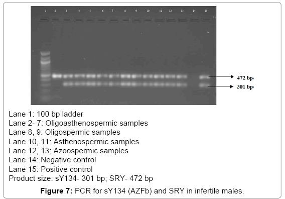 fertilization-in-vitro-sY134