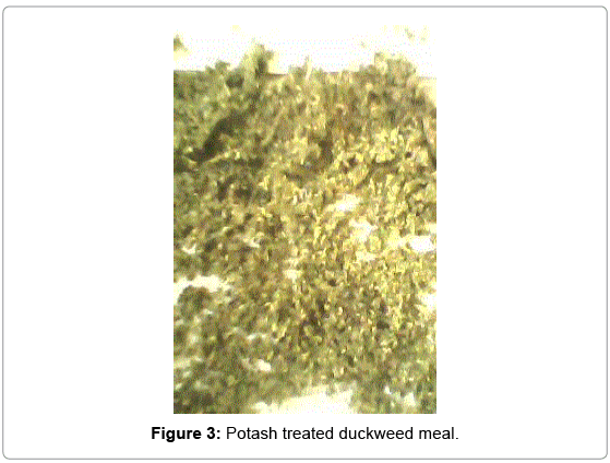fisheries-and-aquaculture-journal-Potash-treated-duckweed-meal