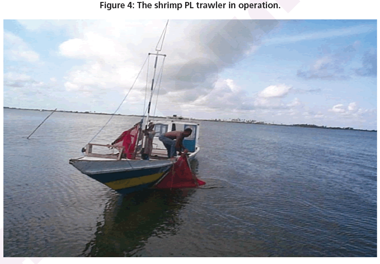fisheries-aquaculture-PL-trawler-operation