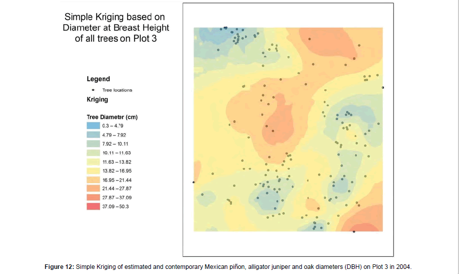 forest-research-Simple-Kriging