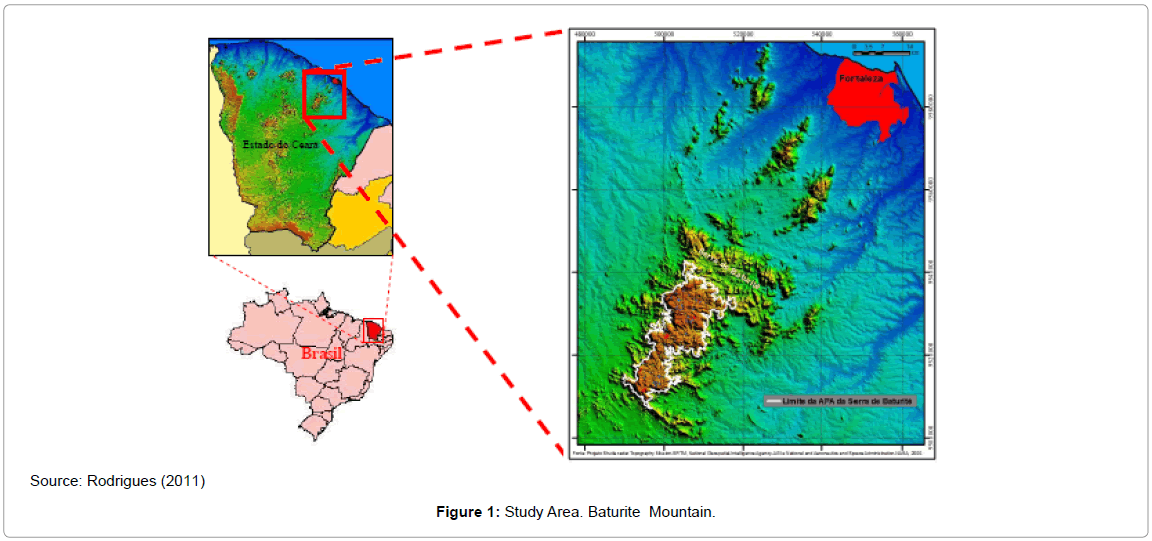 forest-research-Study-Area-Baturite-Mountain