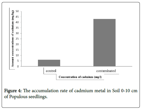 forest-research-accumulation-metal