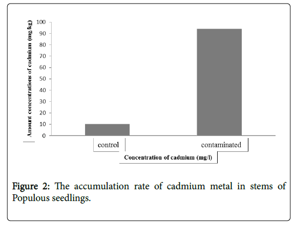 forest-research-accumulation-rate